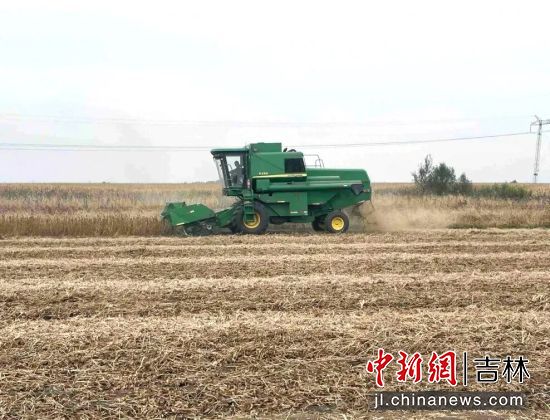 馬俊超/供圖 馬俊超/供圖