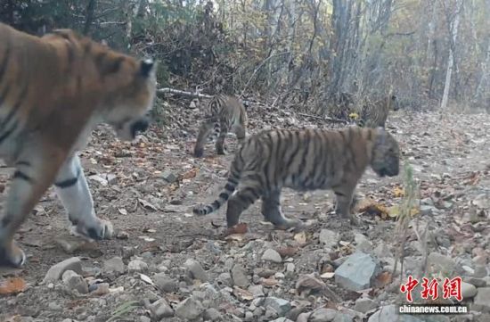 2025���ږ|���������ҹ��@�Ĕz���Ė|������(��ҕ��ý���D)